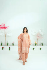 Printed Lawn 3 Piece