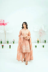 Printed Lawn 3 Piece